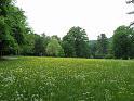 Wechselburg (27)